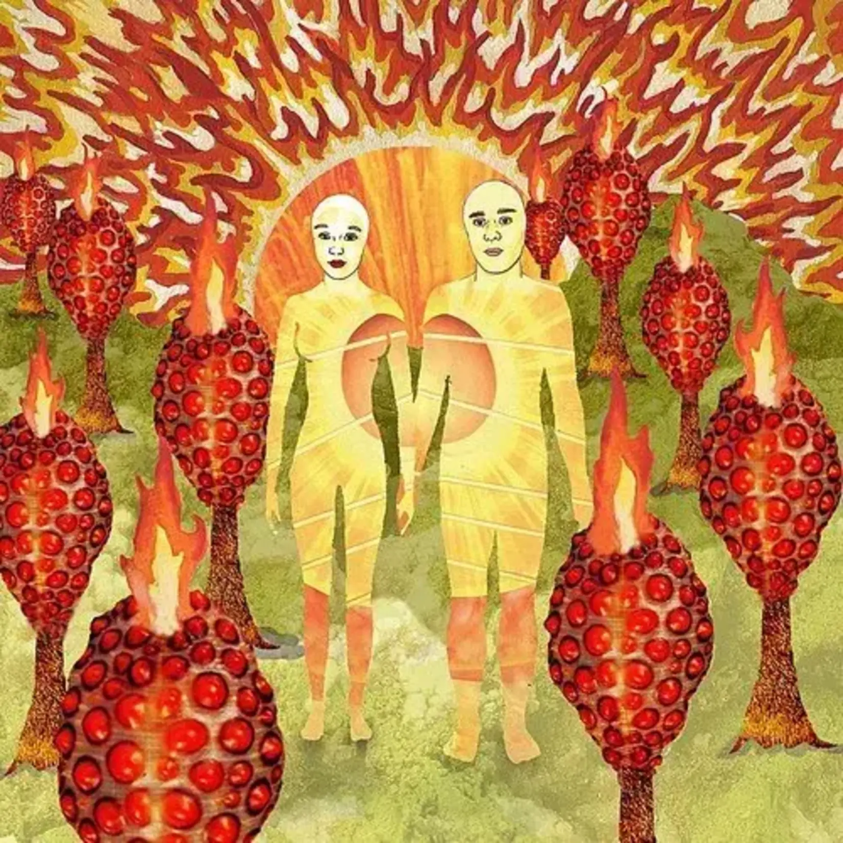 [New Vinyl] Of Montreal: The Sunlandic Twins (20th Anniversary Edition) (2LP red vinyl) [POLYVINYL]