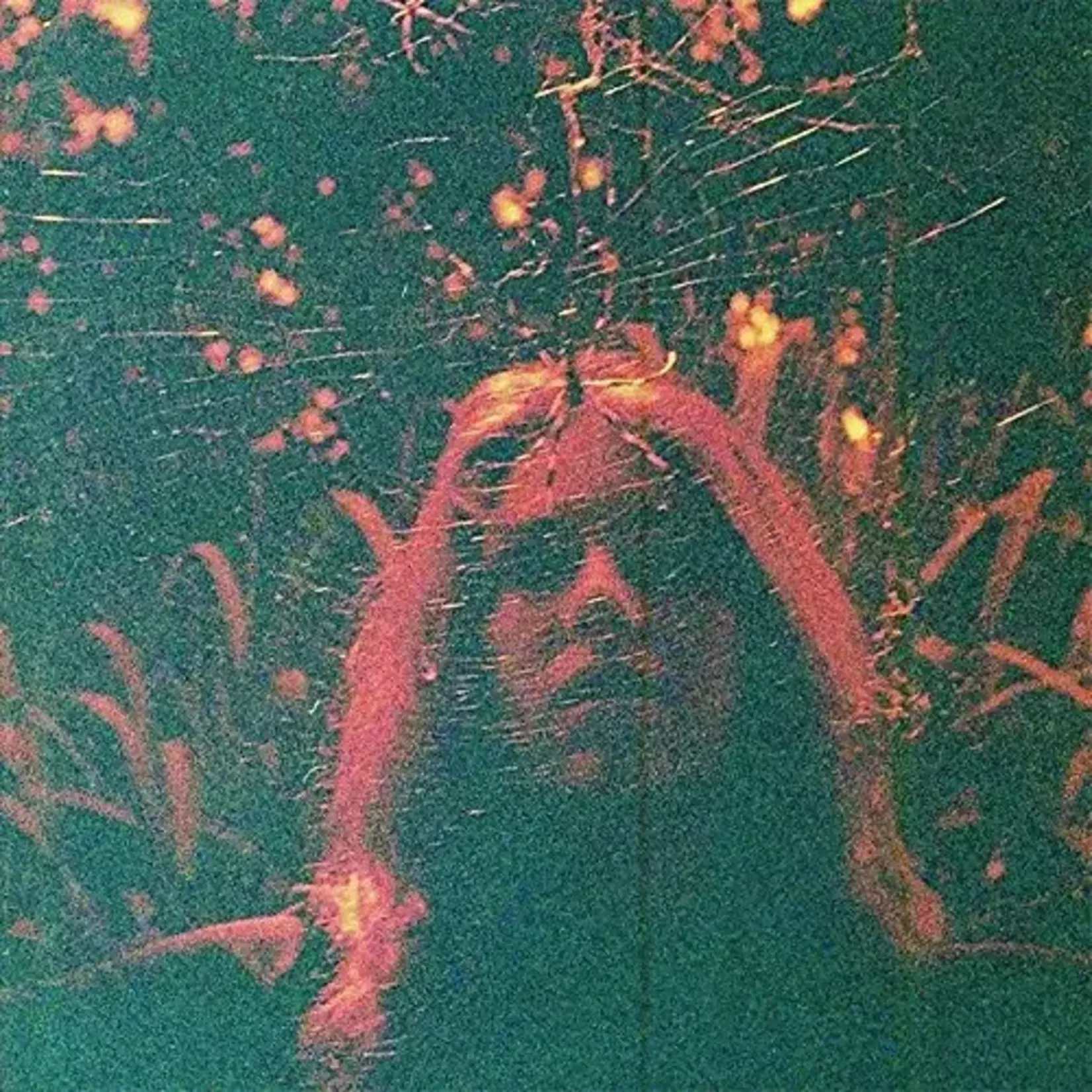 [New Vinyl] Turnover: Peripheral Vision (10 year anniversary) (indie exclusive-citrus marble) [RUN FOR COVER]