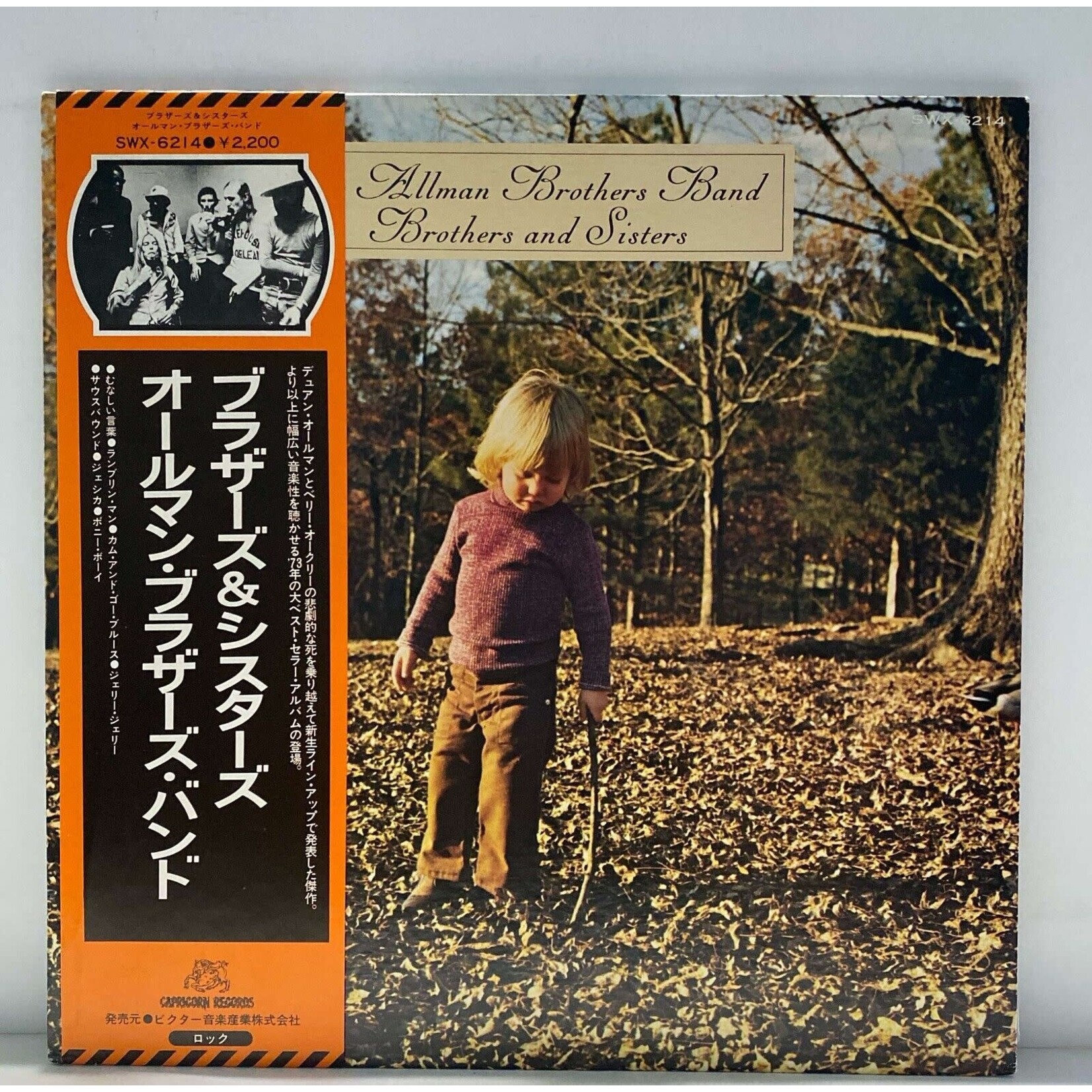 Allman Brothers Band: Brothers and Sisters (w/ OBI & insert) [JAPANESE VINTAGE]