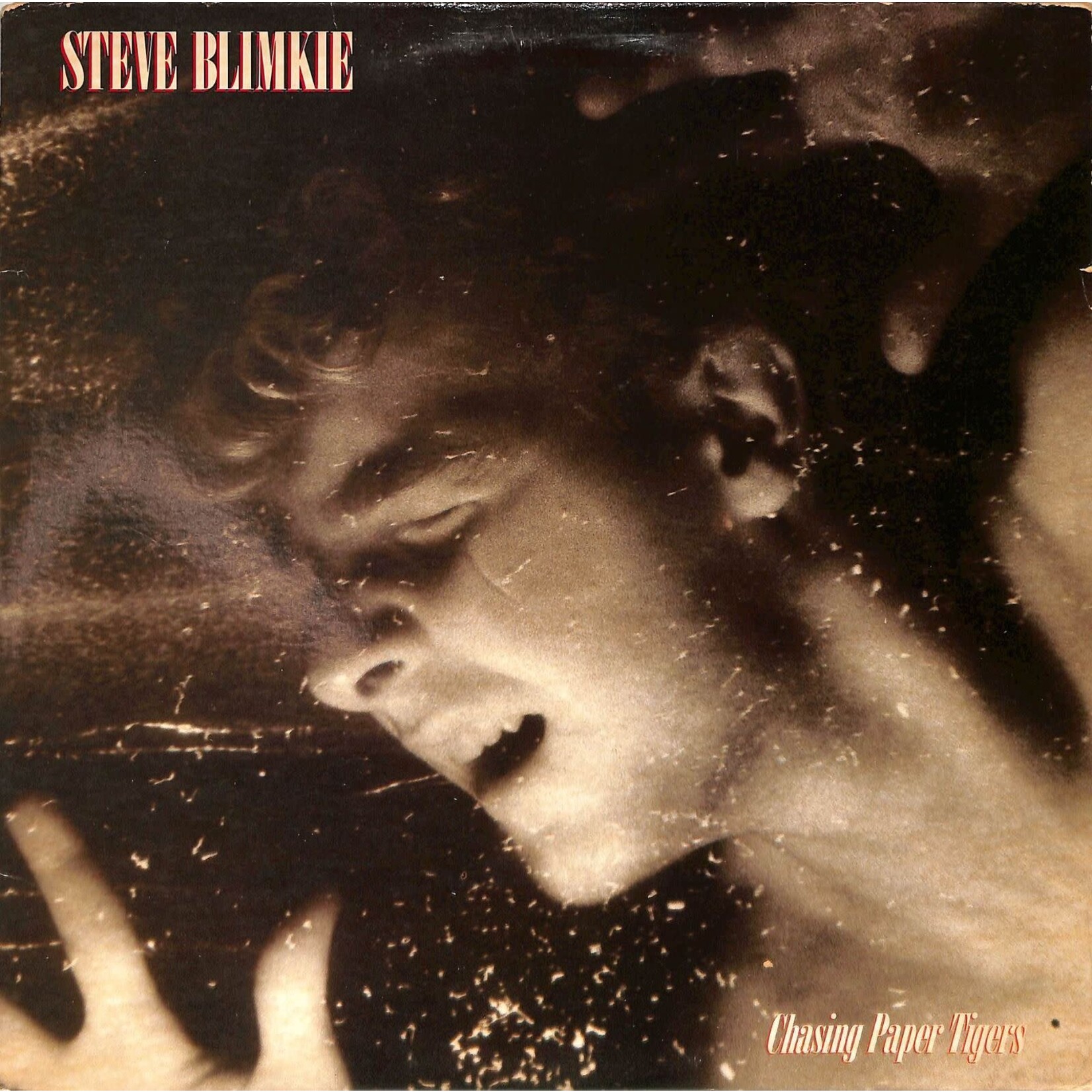 [Vintage] Blimkie, Steve: Chasing Paper Tigers
