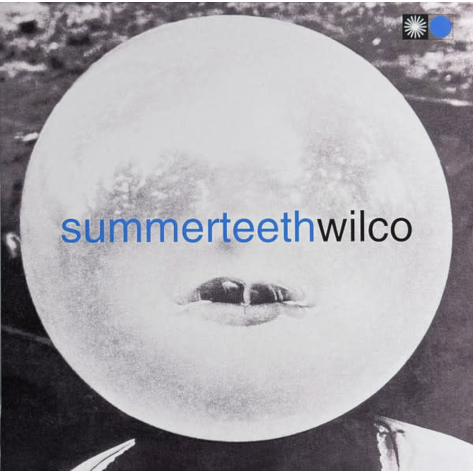 [Kollectibles] Wilco: Summerteeth (2009, USA, 2LP W/ CD, VG+) [NONESUCH]