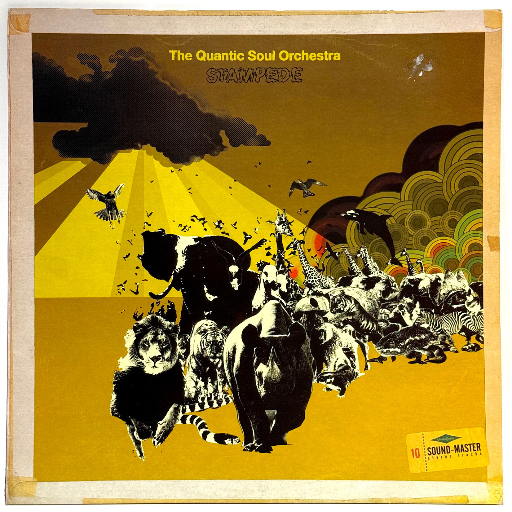 [Nick's Disk Pics] Quantic Soul Orchestra: Stampede (2003, UK, VG+) [TRU THOUGHTS]