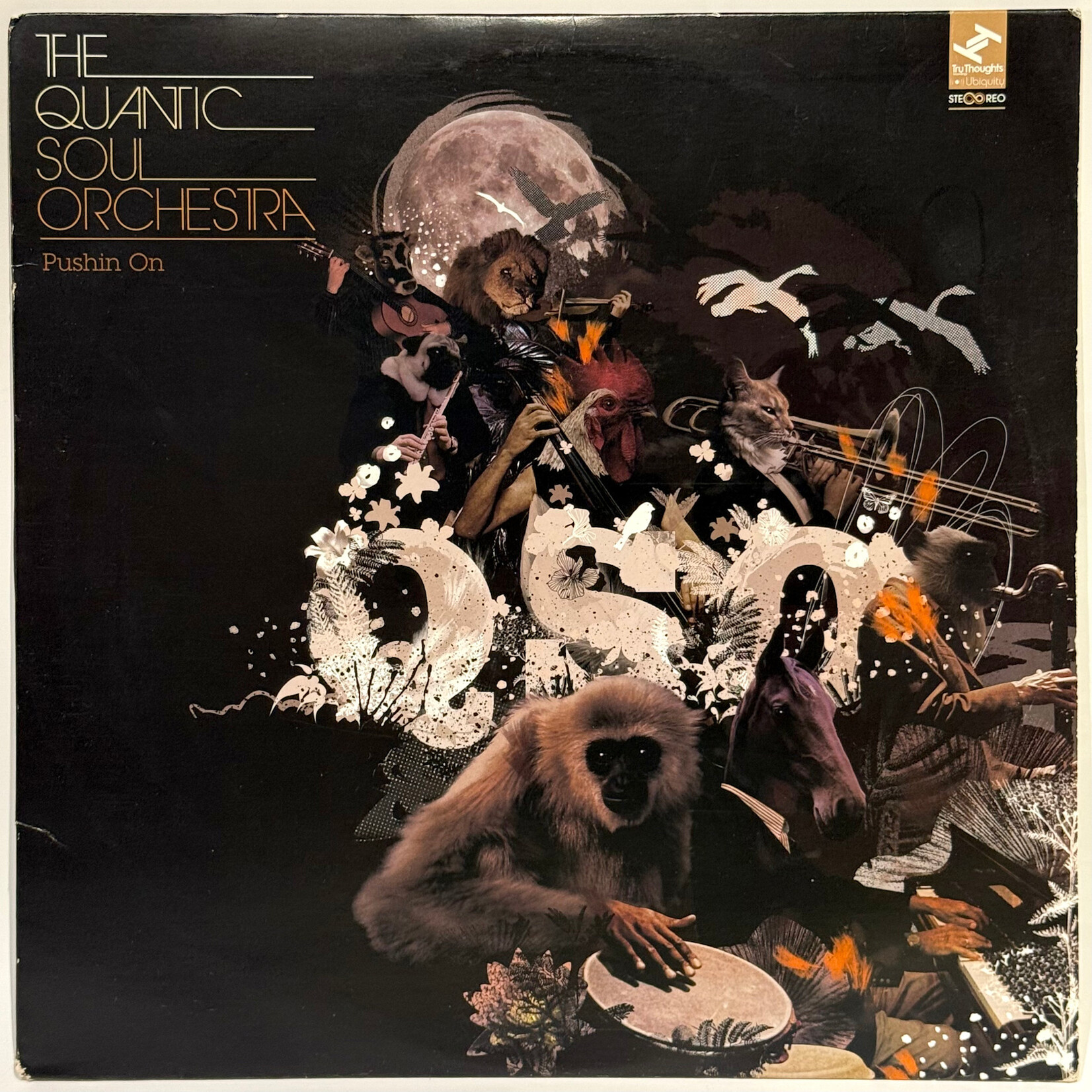 Quantic Soul Orchestra: Pushin On (2005, UK, VG+) [UBIQUITY]