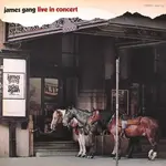 James Gang: Live in Concert [VINTAGE]