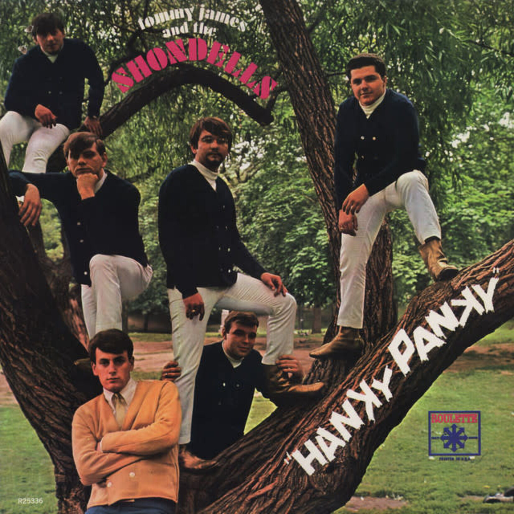 James, Tommy & the Shondells: Hanky Panky [VINTAGE]