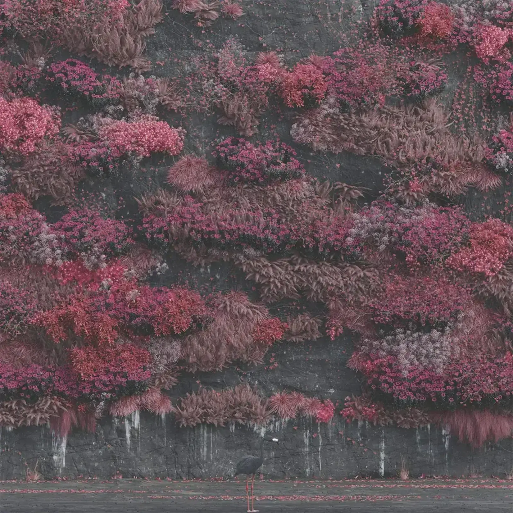 [New] Sleep Token: Even in Arcadia (2LP, Indie Exclusive, Hint Of Blue Colored Vinyl) [RCA]