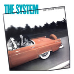 System: Don't Disturb This Groove [VINTAGE]