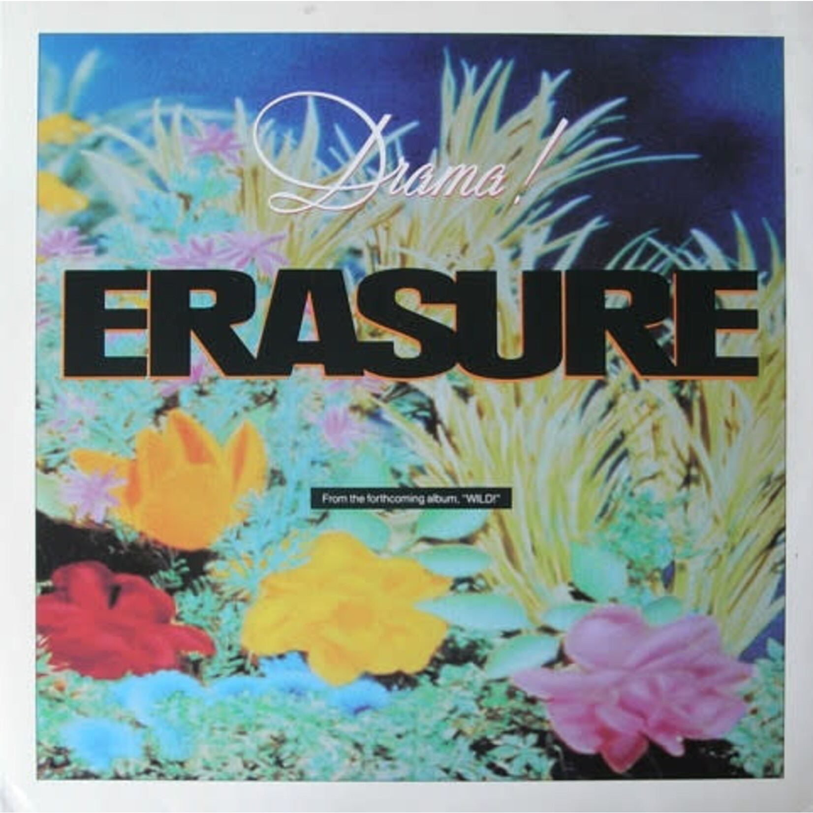 Erasure: Drama! (12") [VINTAGE]