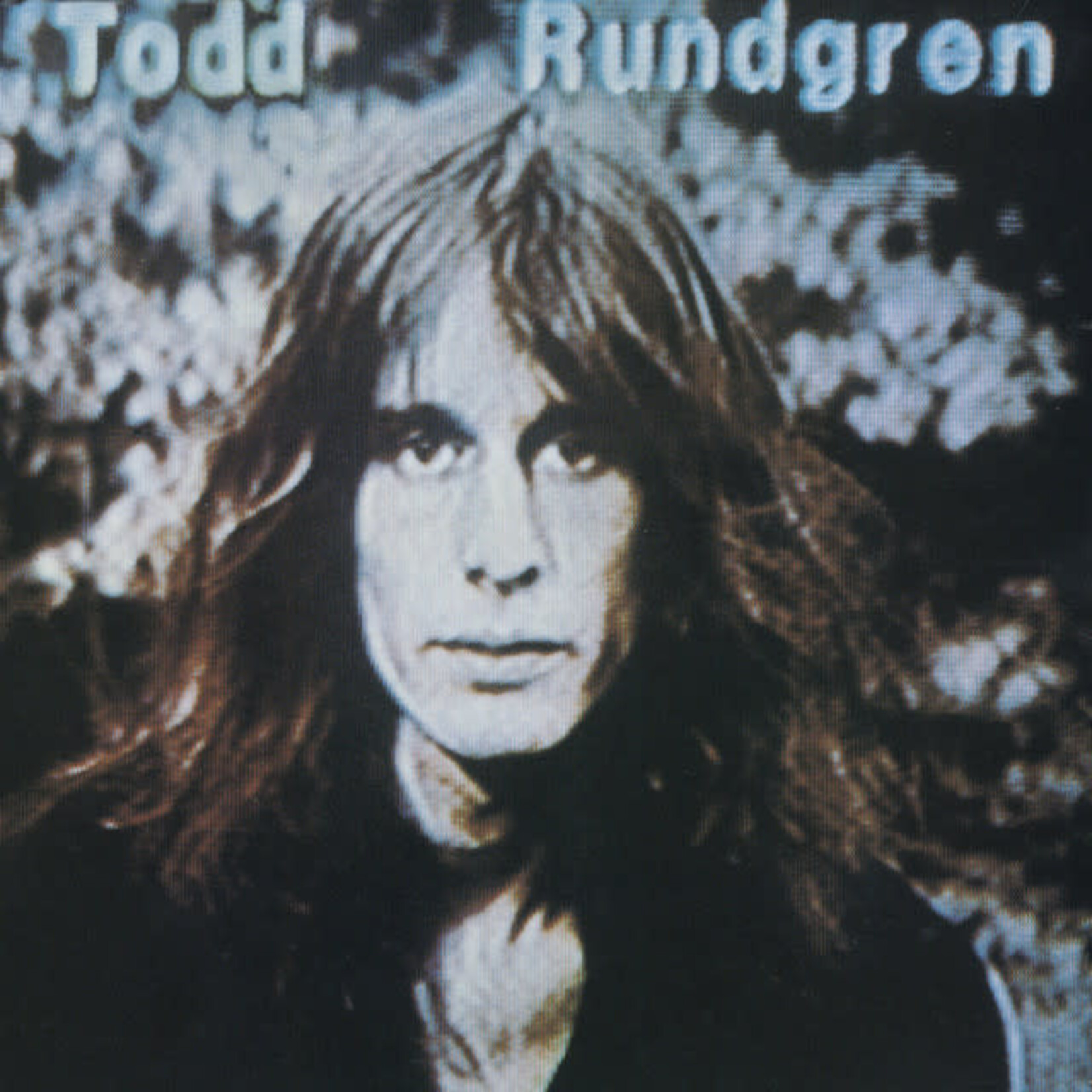 Rundgren, Todd: Hermit of Mink Hollow [VINTAGE]