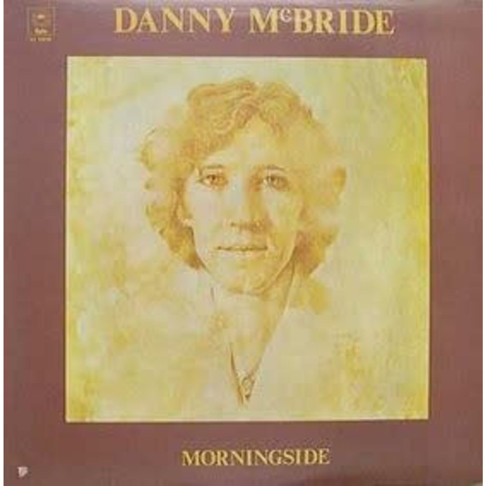 Danny Mcbride - Morningside