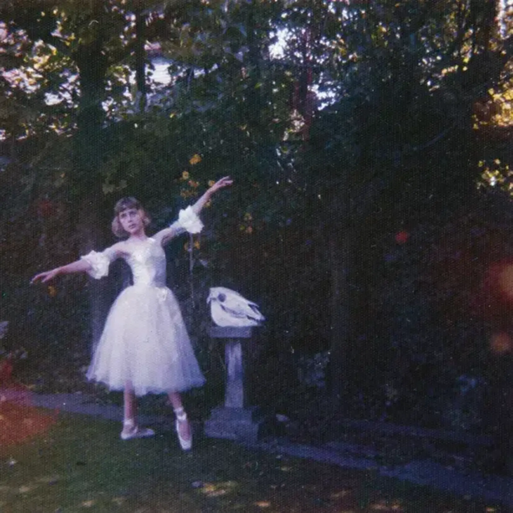 [New Vinyl] Wolf Alice: Visions Of A Life (2LP) [DIRTY HIT]