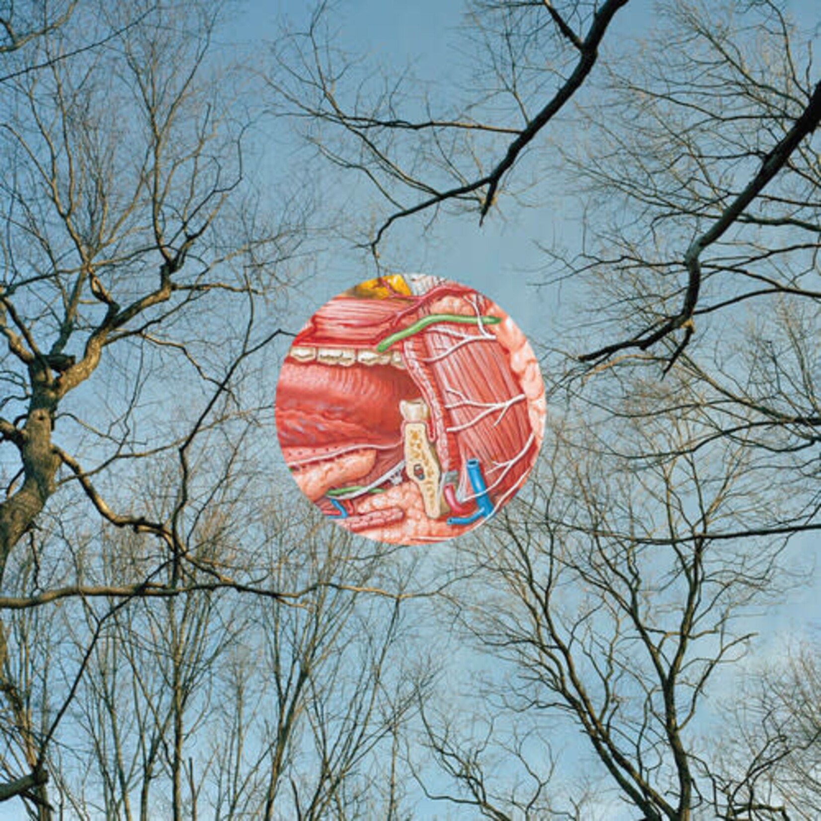 [New Vinyl] They Might Be Giants: Glean (180g, Clear With Red Wisps Vinyl) [IDLEWILD]