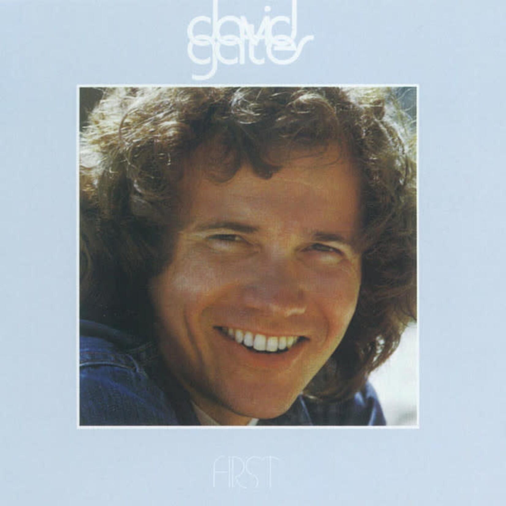 Gates, David: First [VINTAGE]