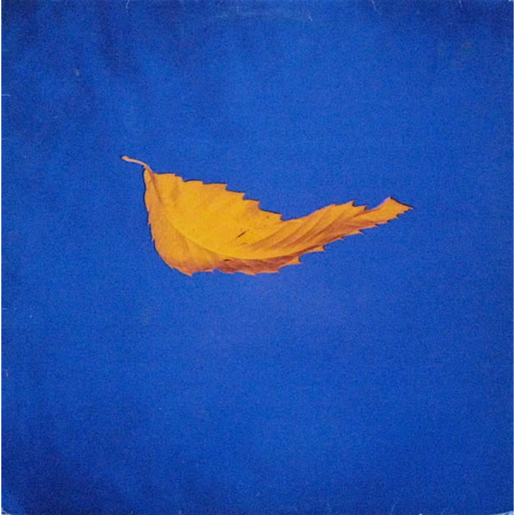[Vintage Vinyl] New Order: True Faith Remix (12") [VINTAGE]