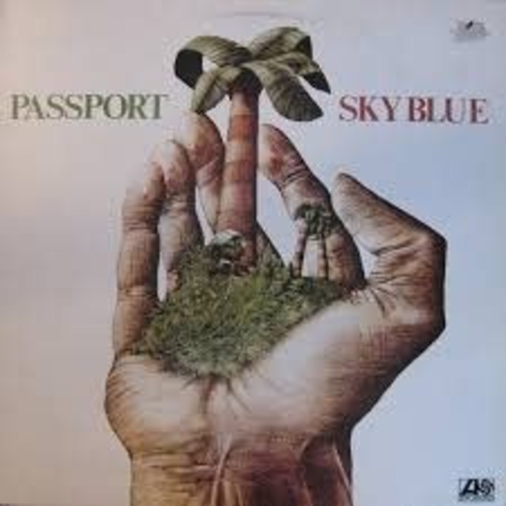 Passport: Sky Blue [VINTAGE]