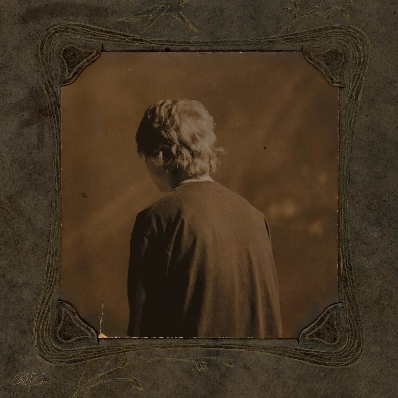 [New] Ethel Cain: Willoughby Tucker, I'll Always.. (2LP-black vinyl w/insert-indie excl.) [AWAL]