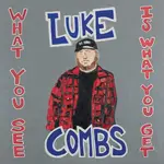 Luke Combs: What You See Is What You Get (2LP) [RIVER HOUSE ARTISTS/COLUMBIA]