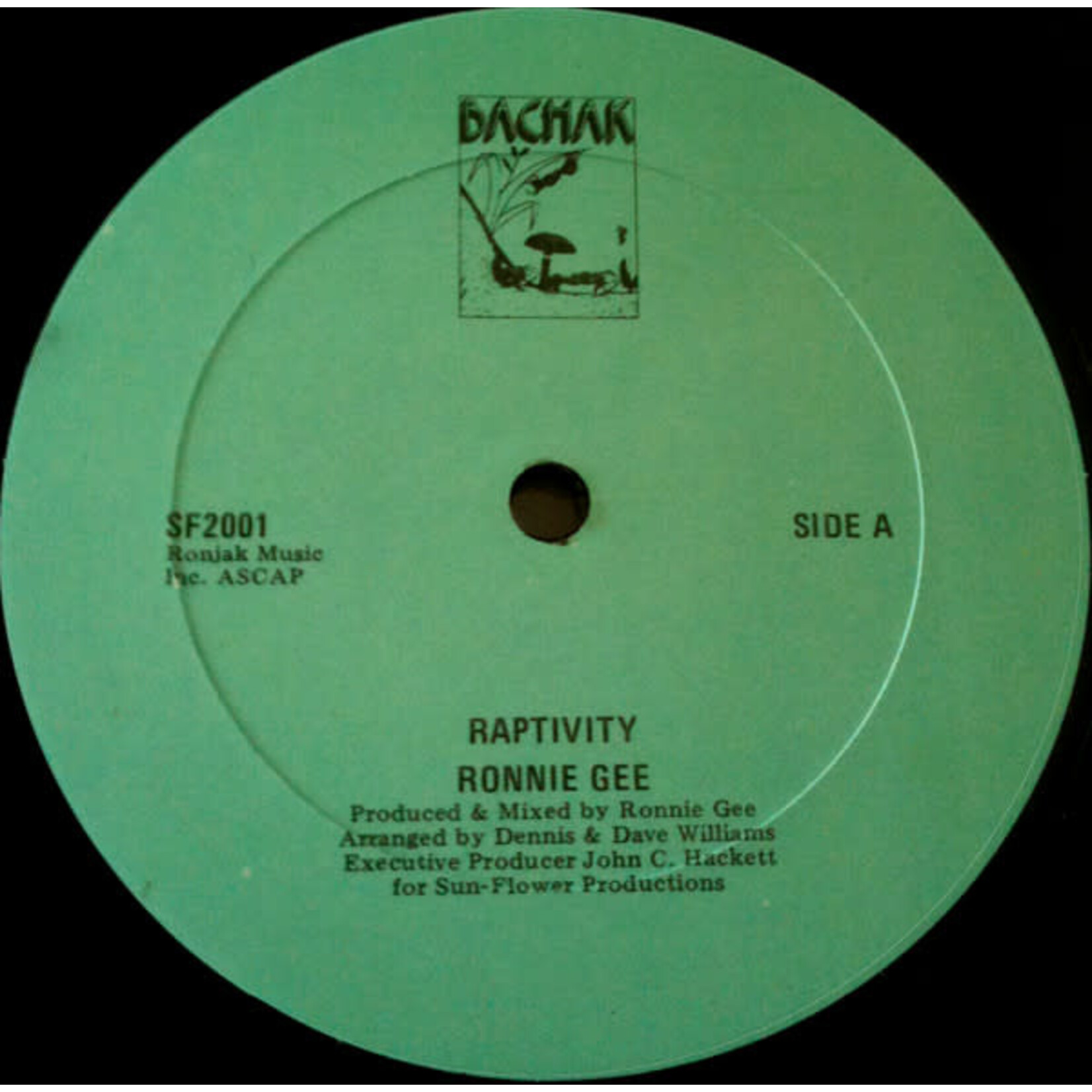 [Kollectibles] Ronnie Gee: Raptivity (1980, USA, Hip-Hop, VG+) [BACHAK]
