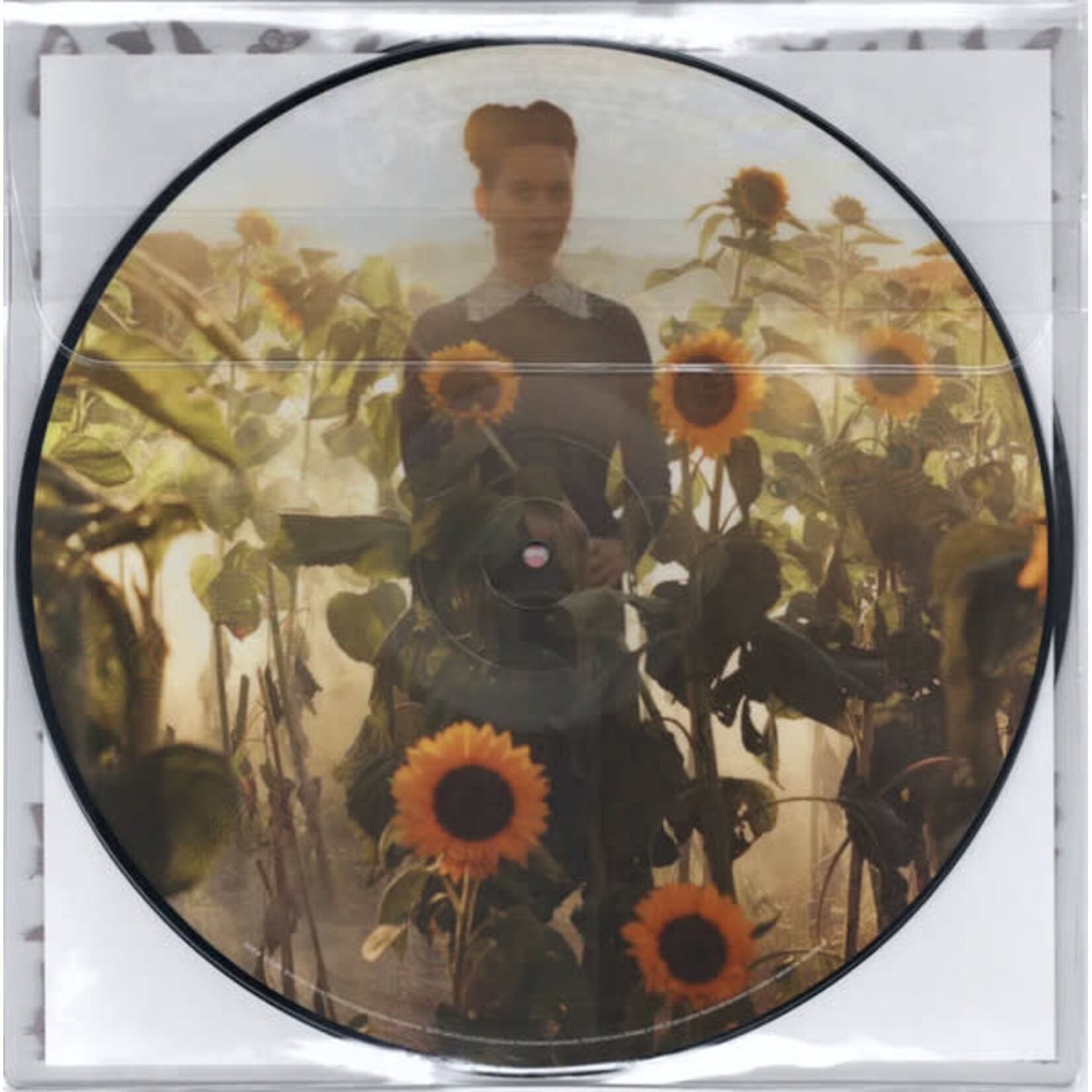 [Kollectible Vinyl] Katy Perry: Prism (2014, USA, PIC DISC, VG+) [CAPITOL]