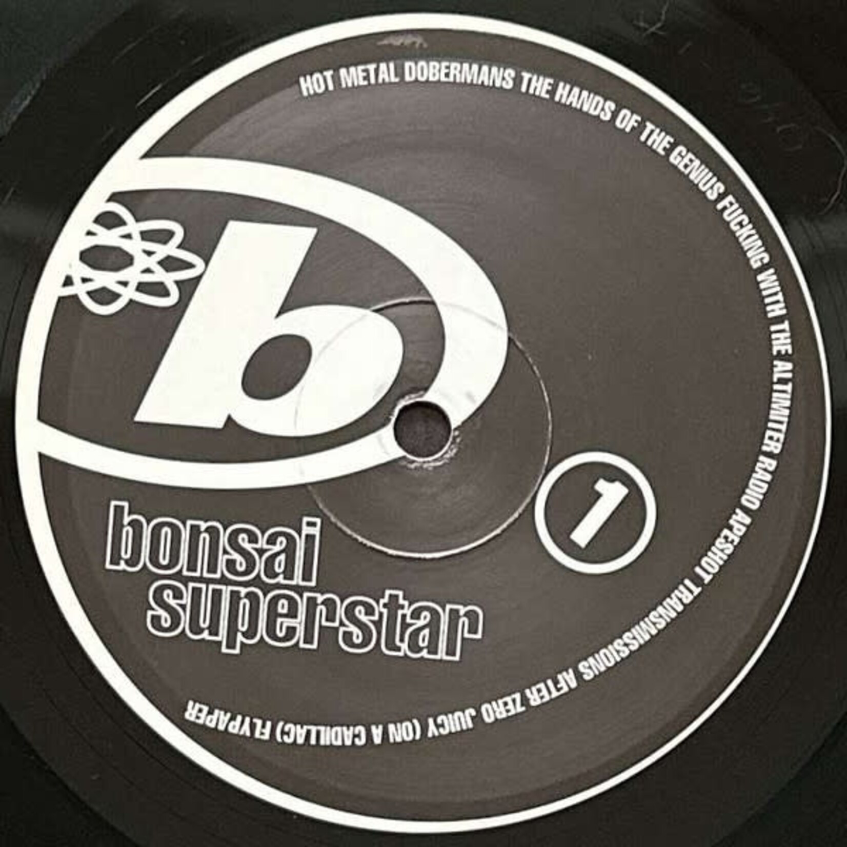 [Kollectibles] Brainiac: Bonsai Superstar (1994, USA, Ex)  [GRASS]