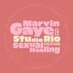 [New Vinyl] Gaye, Marvin & Studio Rio: Sexual Healing (7") [MR BONGO]
