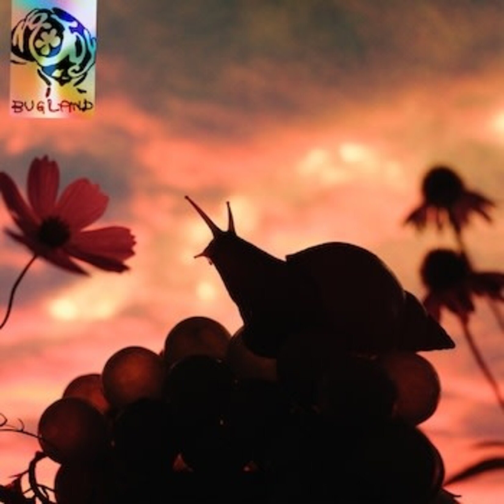 [New Vinyl] No Joy: Bugland (ditch lily orange vinyl) [VICTORY POOL]