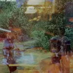 [New Vinyl] Heynderickx, Haley & Max Garcia Conover: What of Our Nature [FAT POSSUM]