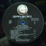 [Kollectible Vinyl] Guns N' Roses: Use Your Illusion I