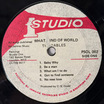 [Kollectible Vinyl] Cables: What Kind of World (UK Sleeve, 1970s, Jamaica, Disc VG) [STUDIO ONE]