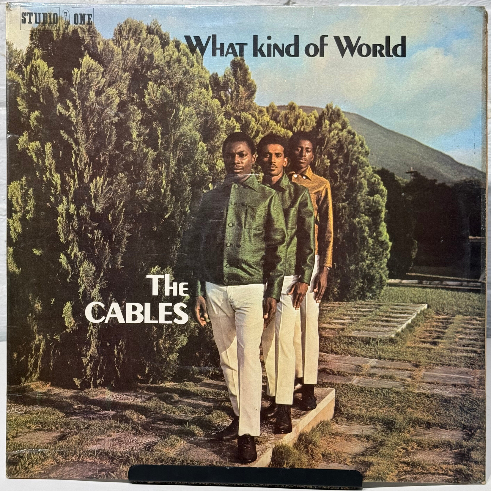 [Kollectible Vinyl] Cables: What Kind of World (UK Sleeve, 1970s, Jamaica, Disc VG) [STUDIO ONE]