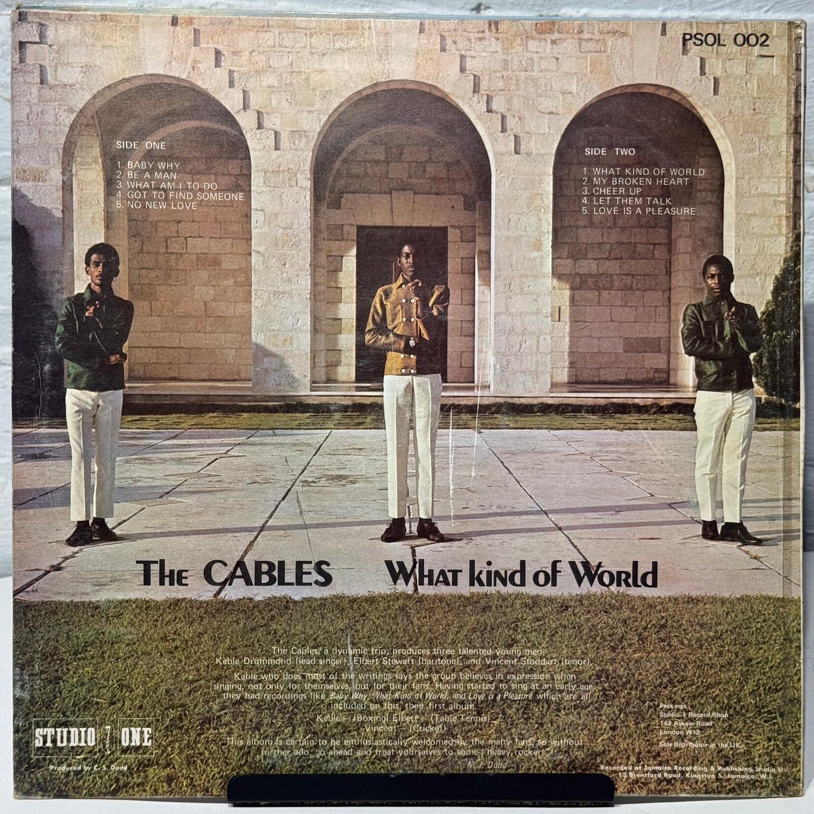 [Kollectible Vinyl] Cables: What Kind of World (UK Sleeve, 1970s, Jamaica, Disc VG) [STUDIO ONE]