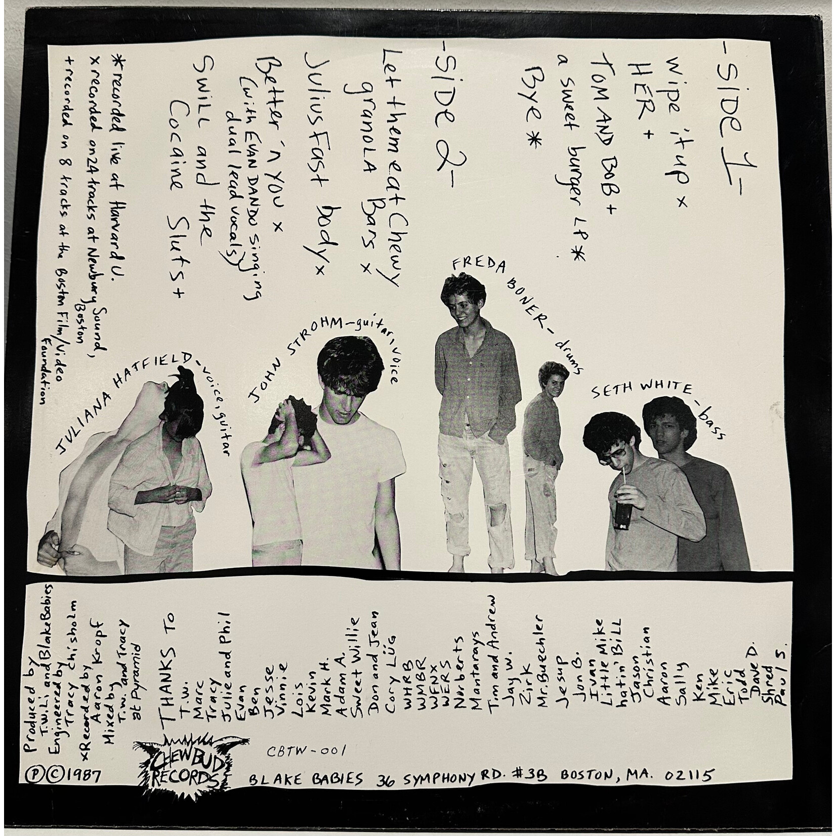 [Kollectible Vinyl] Blake Babies: Nicely, Nicely (1987, USA, VG+) [CHEW-BUD]