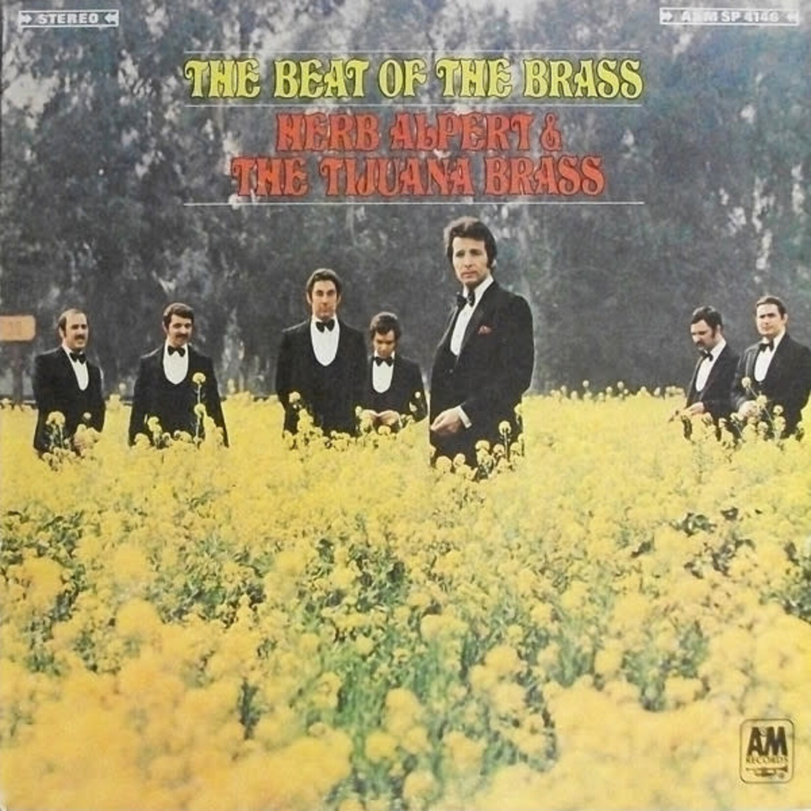 [Vintage Vinyl] Herb Alpert - Beat of the Brass