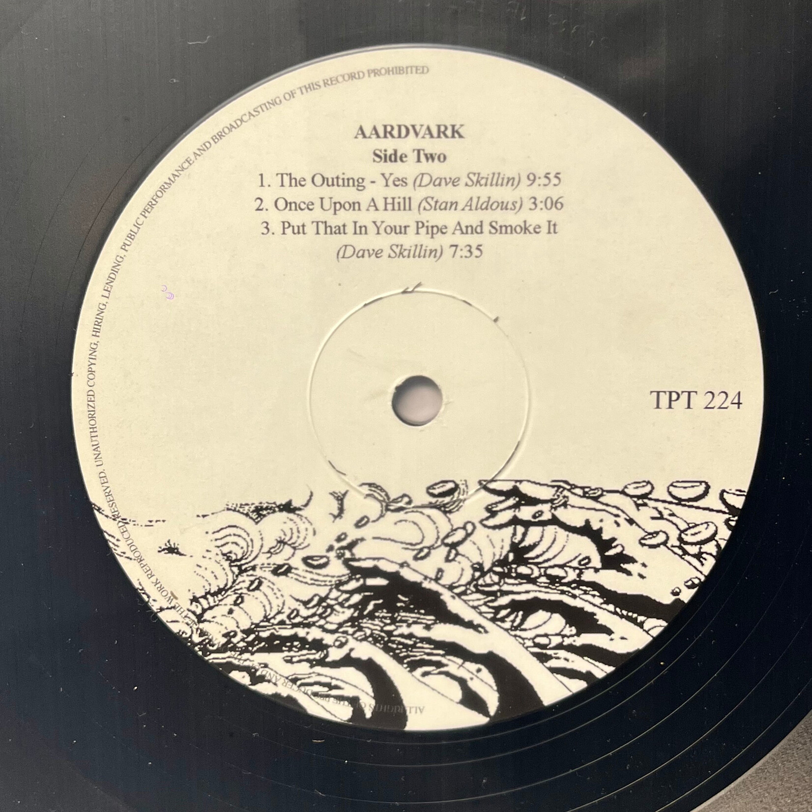 [Kollectible Vinyl] Aardvark: Aardvark (2007, Liechtenstein, VG+) [TAPESTRY]