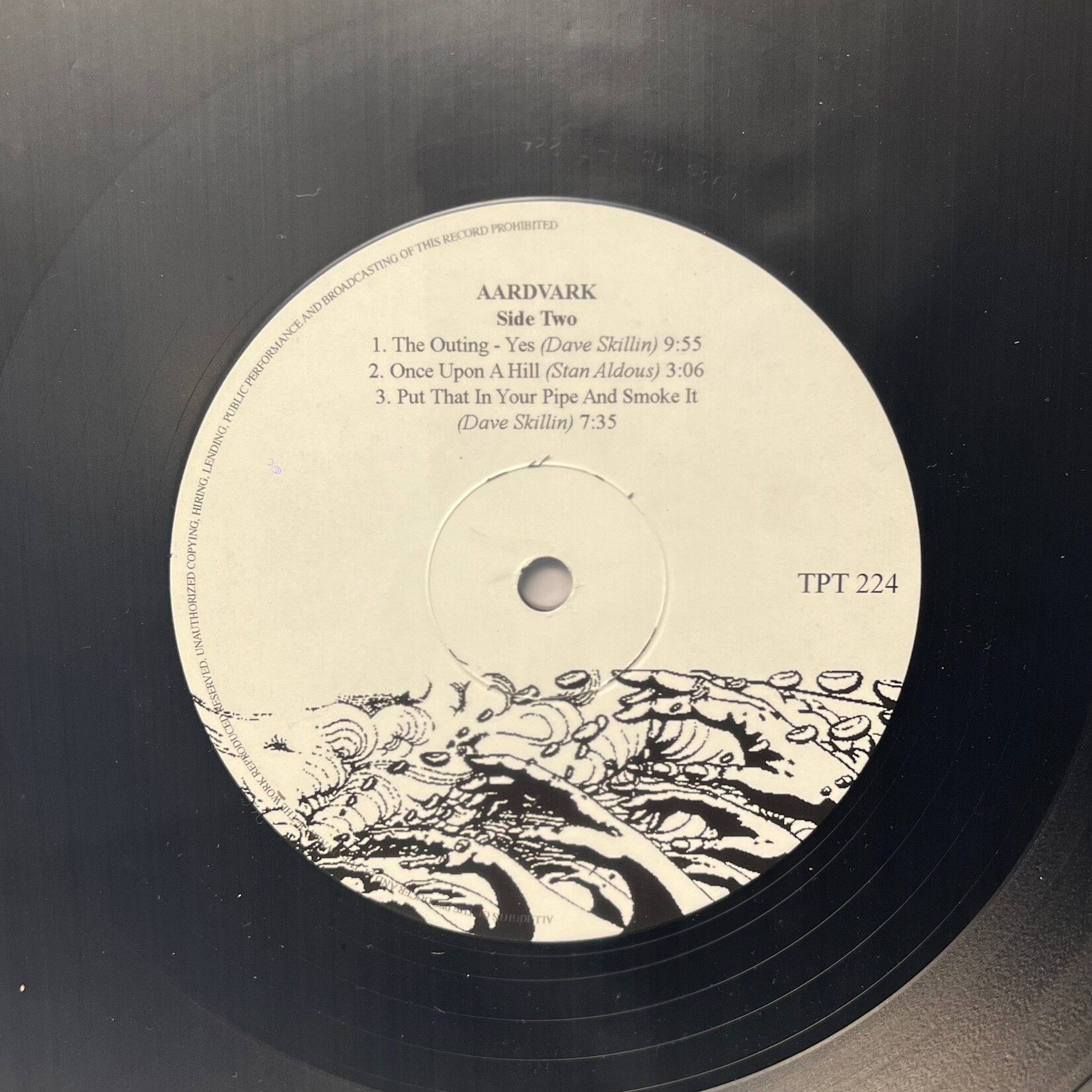 [Kollectible Vinyl] Aardvark: Aardvark (2007, Liechtenstein, VG+) [TAPESTRY]