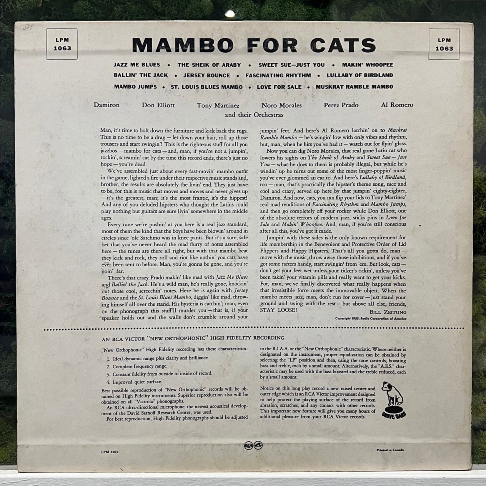 [Kollectible Vinyl] Various Artists: Mambo For Cats (1955, Canada, VG+) [RCA]