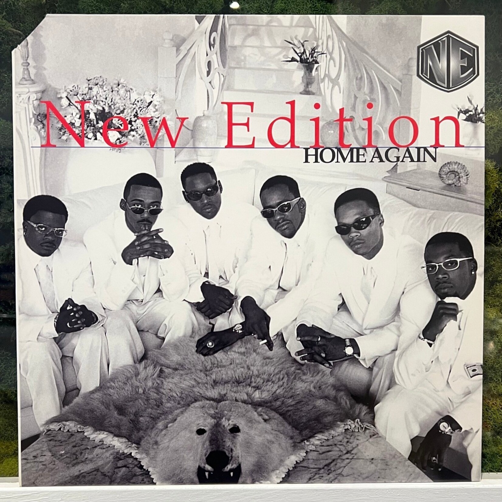[Kollectible Vinyl] New Edition: Home Again (1996, USA, VG+) [MCA]