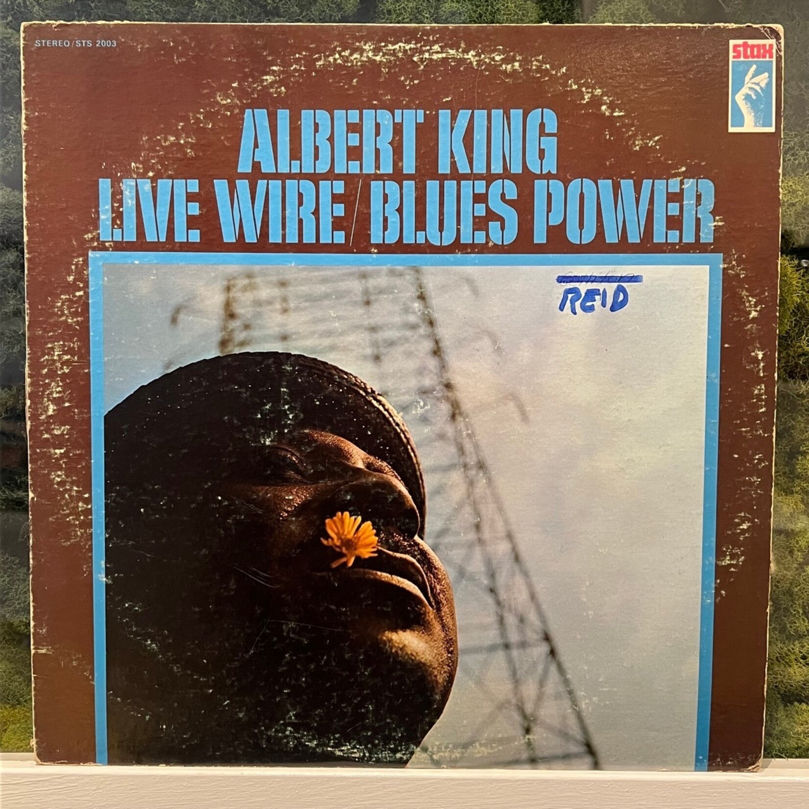 [Kollectible Vinyl] King, Albert: Live Wire / Blues Power (1968, USA, VG) [STAX]