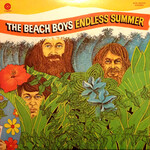 [Japanese Vintage] Beach Boys: Endless Summer (No OBI Or Insert) [JAPANESE VINTAGE]