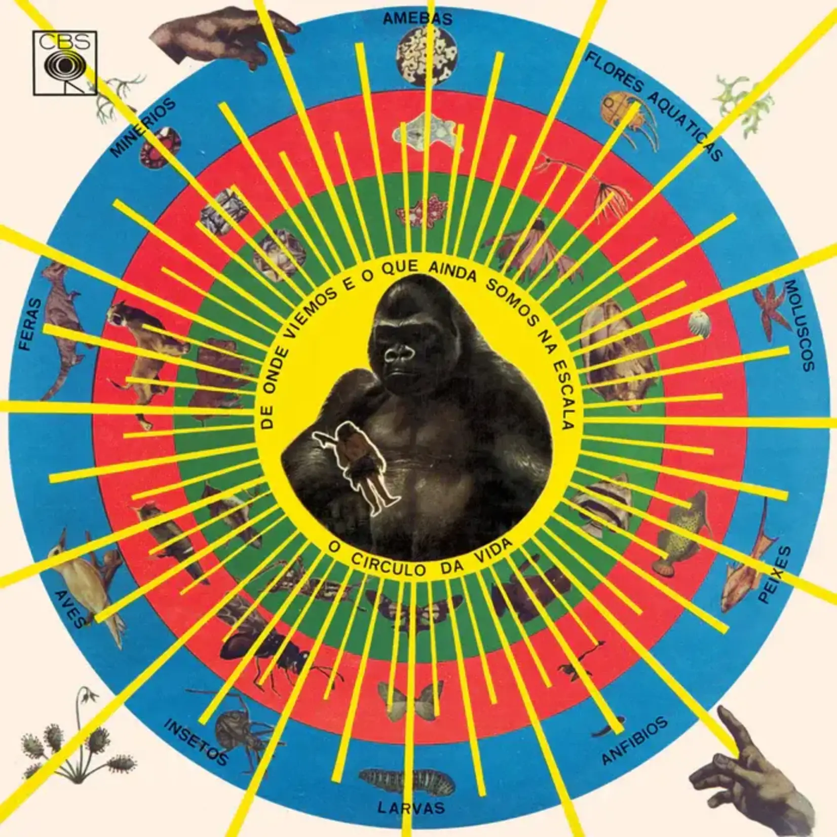 [New Vinyl] Santos, Pedro: Krishnanda [MR BONGO]