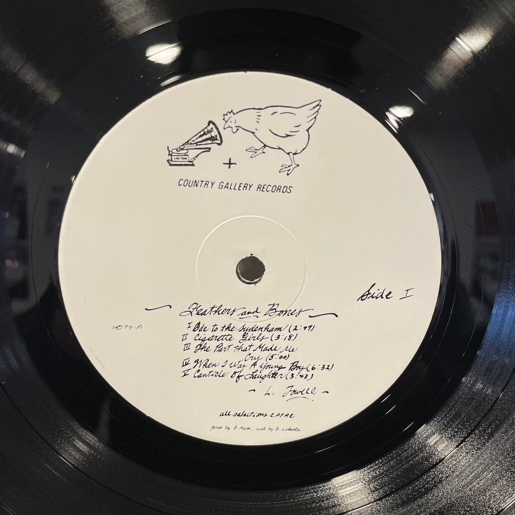 [Kollectible Vinyl] Towell, Larry: Feathers And Bones (1980, Canada, VG+) [COUNTRY GALLERY]