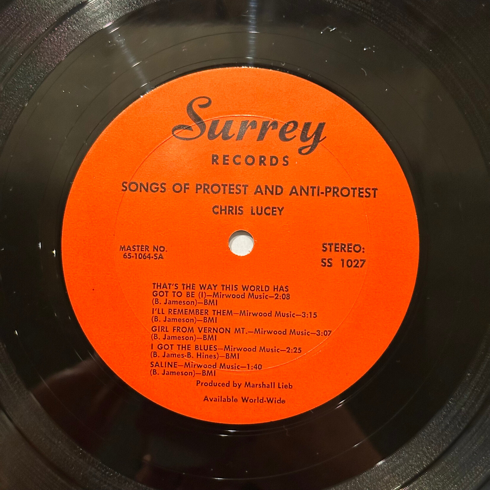 [Kollectible Vinyl] Chris Lucey: Songs Of Protest And Anti Protest (1965, USA, VG+) [SURREY]