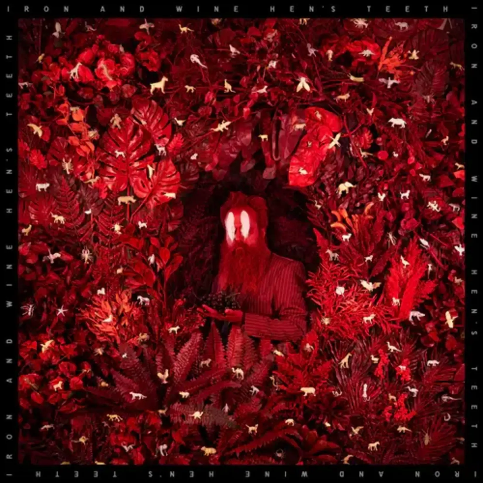 Iron & Wine: Hen's Teeth (LOSER edition-coloured vinyl) [SUB POP]