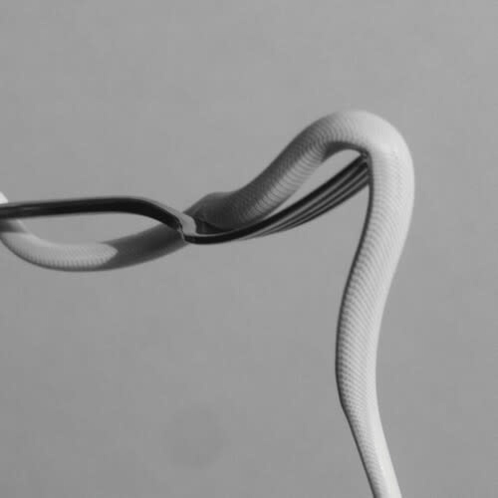 [New] Animals as Leaders: Parrhesia (neon orange vinyl) [SUMERIAN]