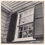 [New] Beach Fossils: What A Pleasure (black vinyl) [BAYONET]