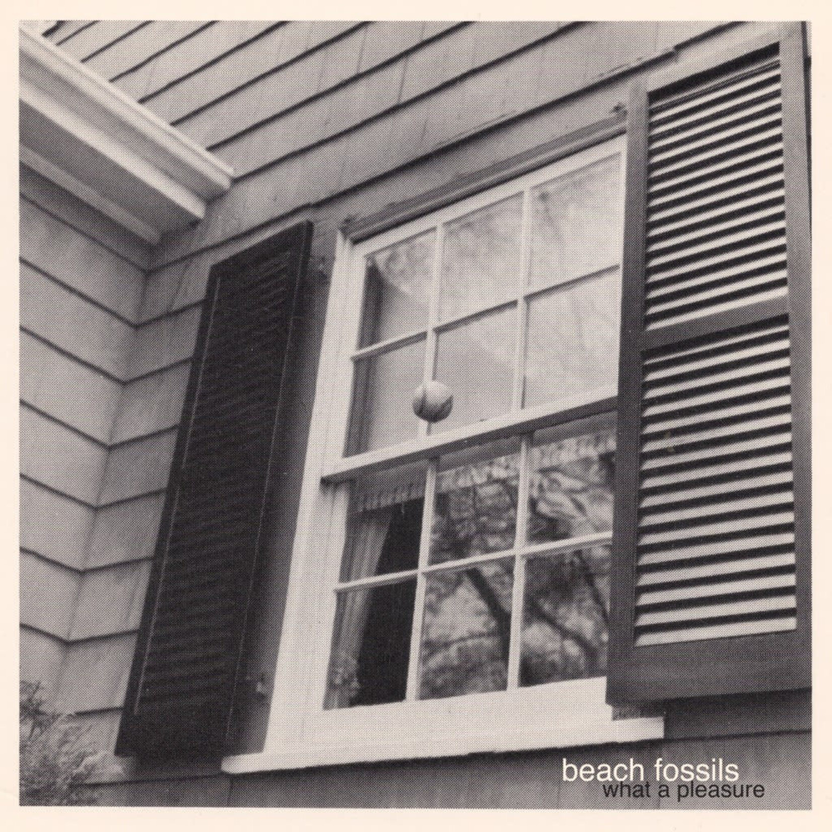 [New] Beach Fossils: What A Pleasure (black vinyl) [BAYONET]