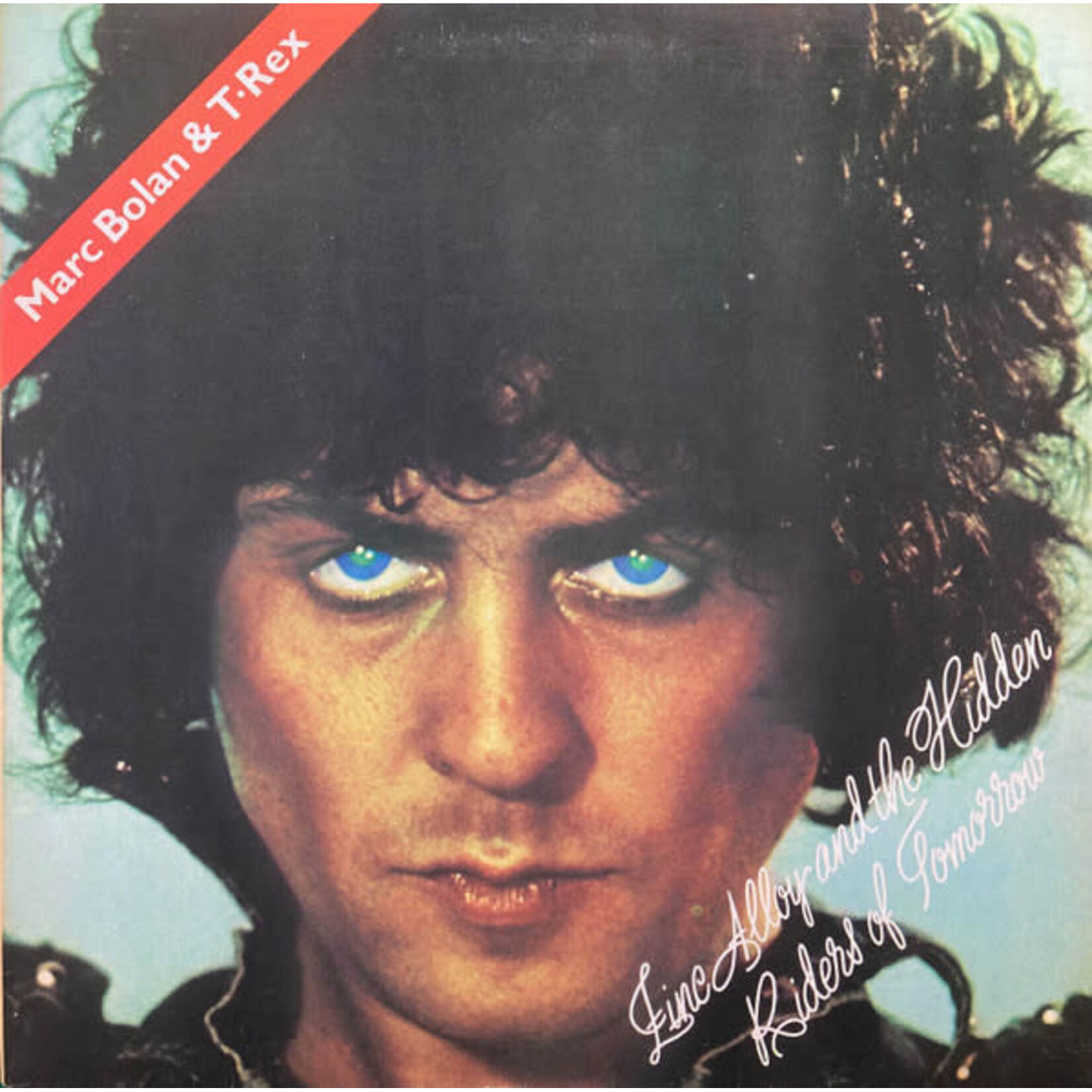 [Japanese Vintage] T-Rex: Zinc Alloy & The Hidden Riders of Tomorrow (no OBI) [JAPANESE VINTAGE]