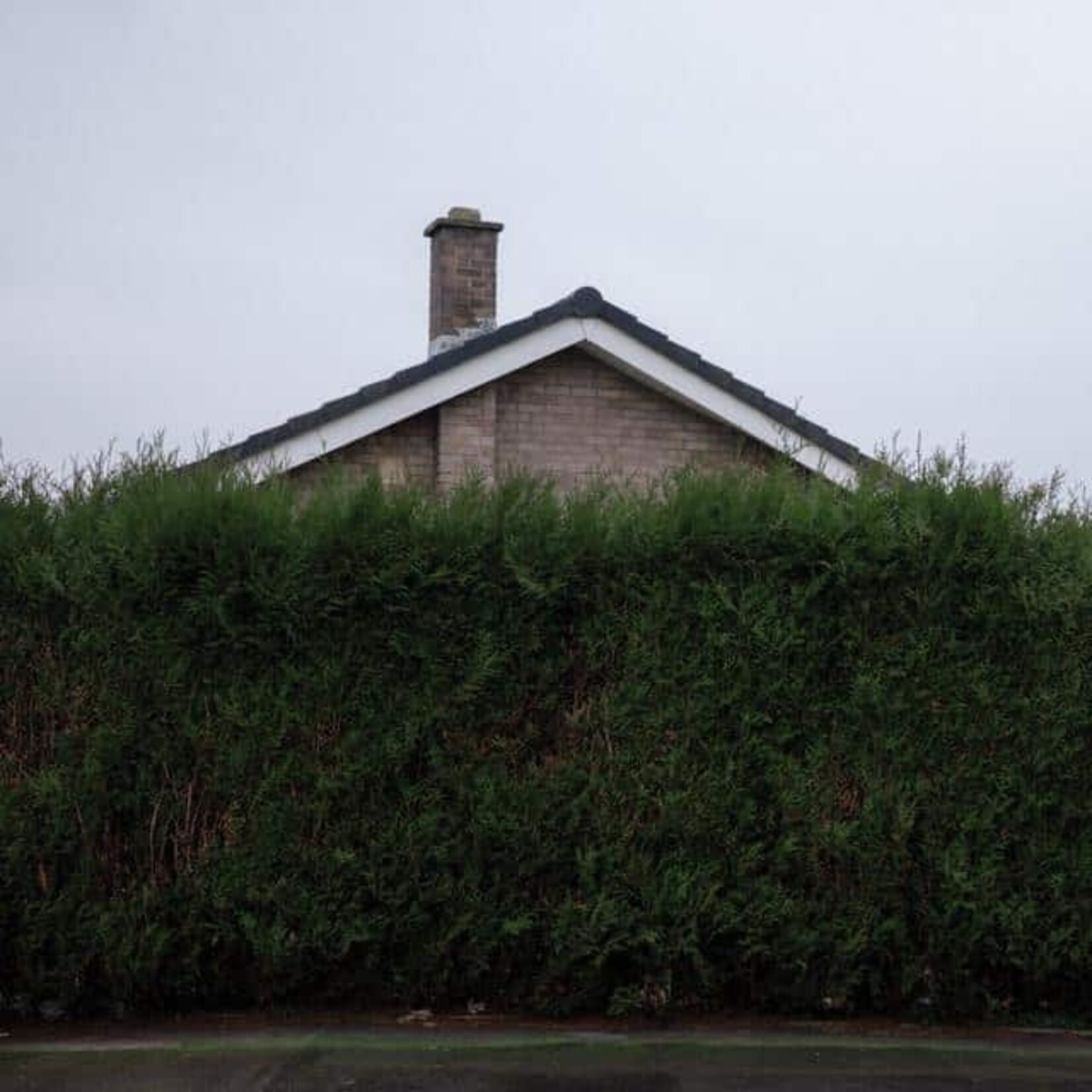 [New] 1975: Still... At Their Very Best (3LP/Live From The AO Arena, Manchester,  17.02.2024) [DIRTY HIT]