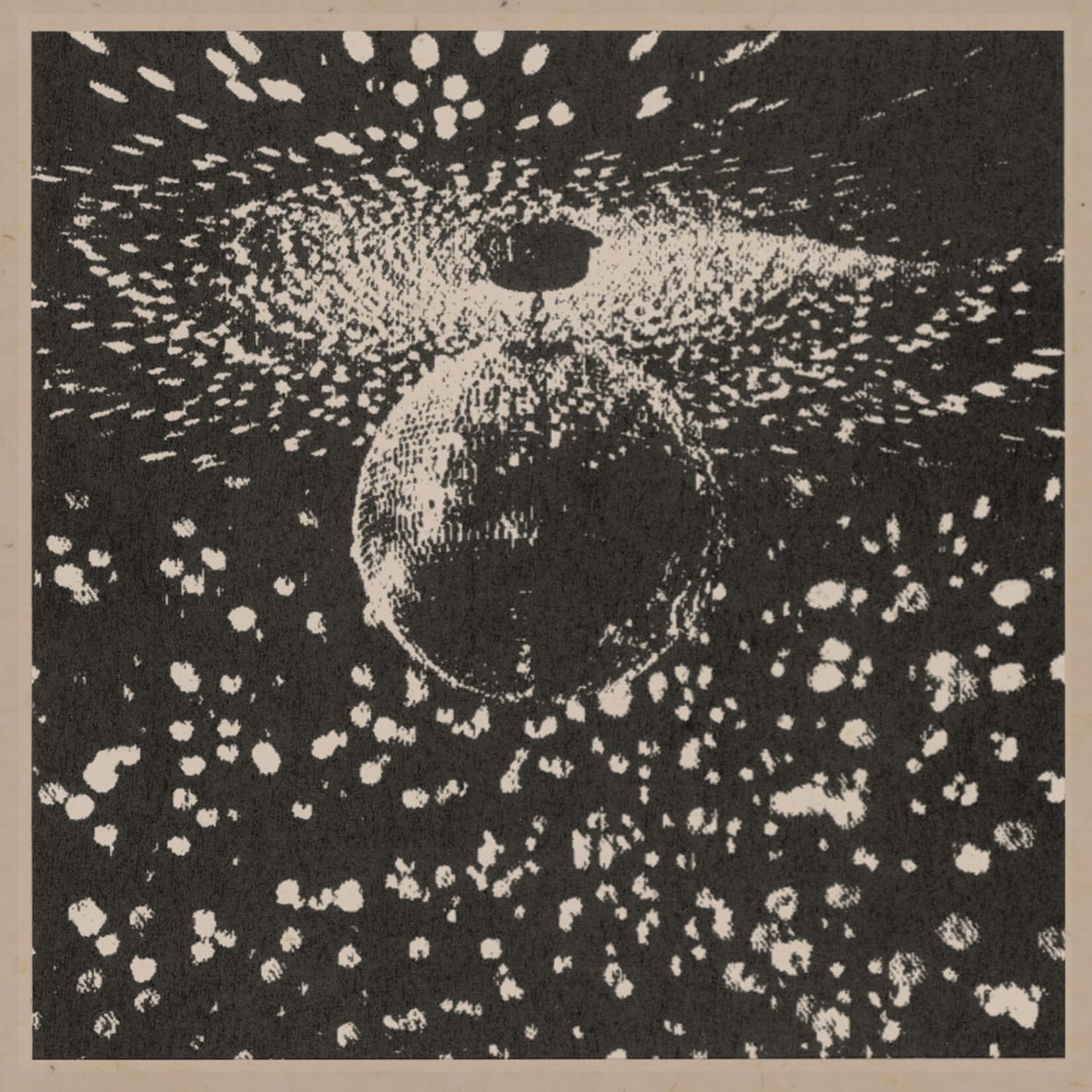 [New Vinyl] Young, Neil: Mirror Ball (2LP) [REPRISE]