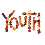 [New Vinyl] Citizen: Youth (10 year anniversary edition-flower petal coloured) [RUN FOR COVER]